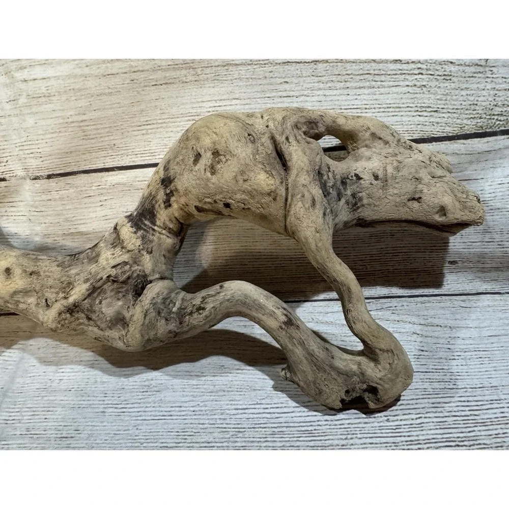 Vtg Piece of Driftwood that looks like a Dinosaur or Snake 17